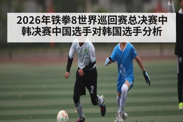 2026年铁拳8世界巡回赛总决赛中韩决赛中国选手对韩国选手分析（kaiyun）